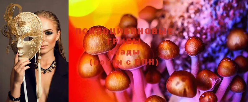 Псилоцибиновые грибы Psilocybe  Белый 